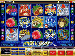 What a Hoot 5 reel, 9 payline, 9 Coin Video Slot game from microgaming