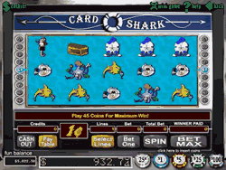 Card Shark